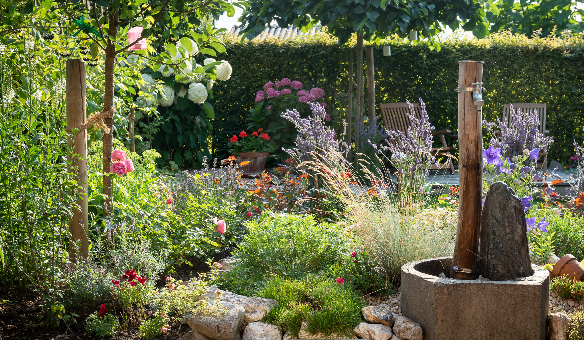 lichtdurchflutete Sommerstimmung im Schrebergarten