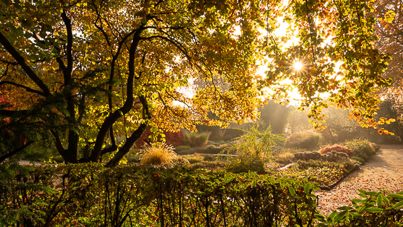 Morgenstimmung im Botanischen Garten Linz